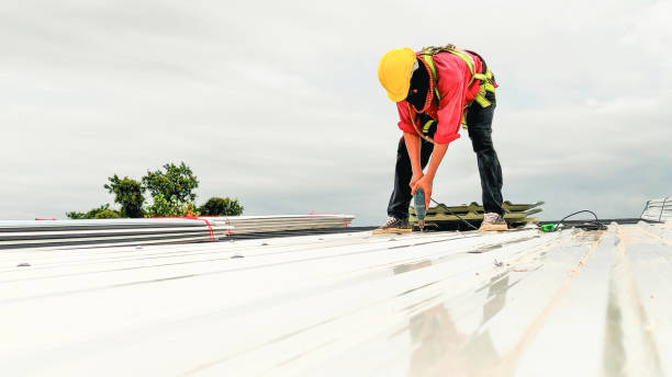 Roof Insulation in Worth, IL