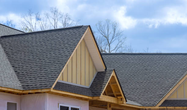 Best Skylights  in Worth, IL
