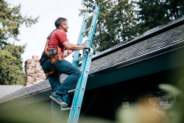 Roof Coating Services in Worth, IL